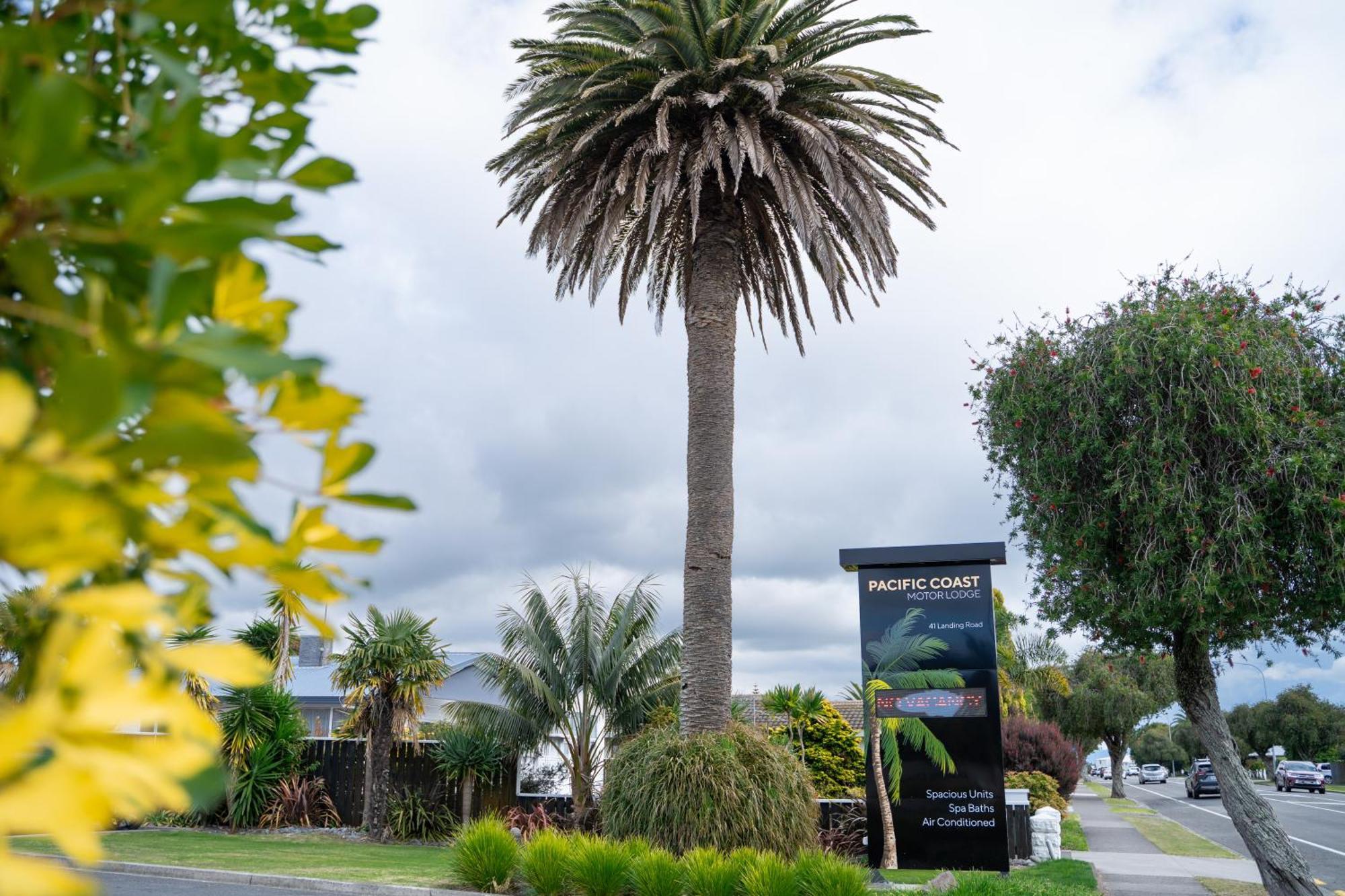 פקטאני Pacific Coast Motor Lodge מראה חיצוני תמונה